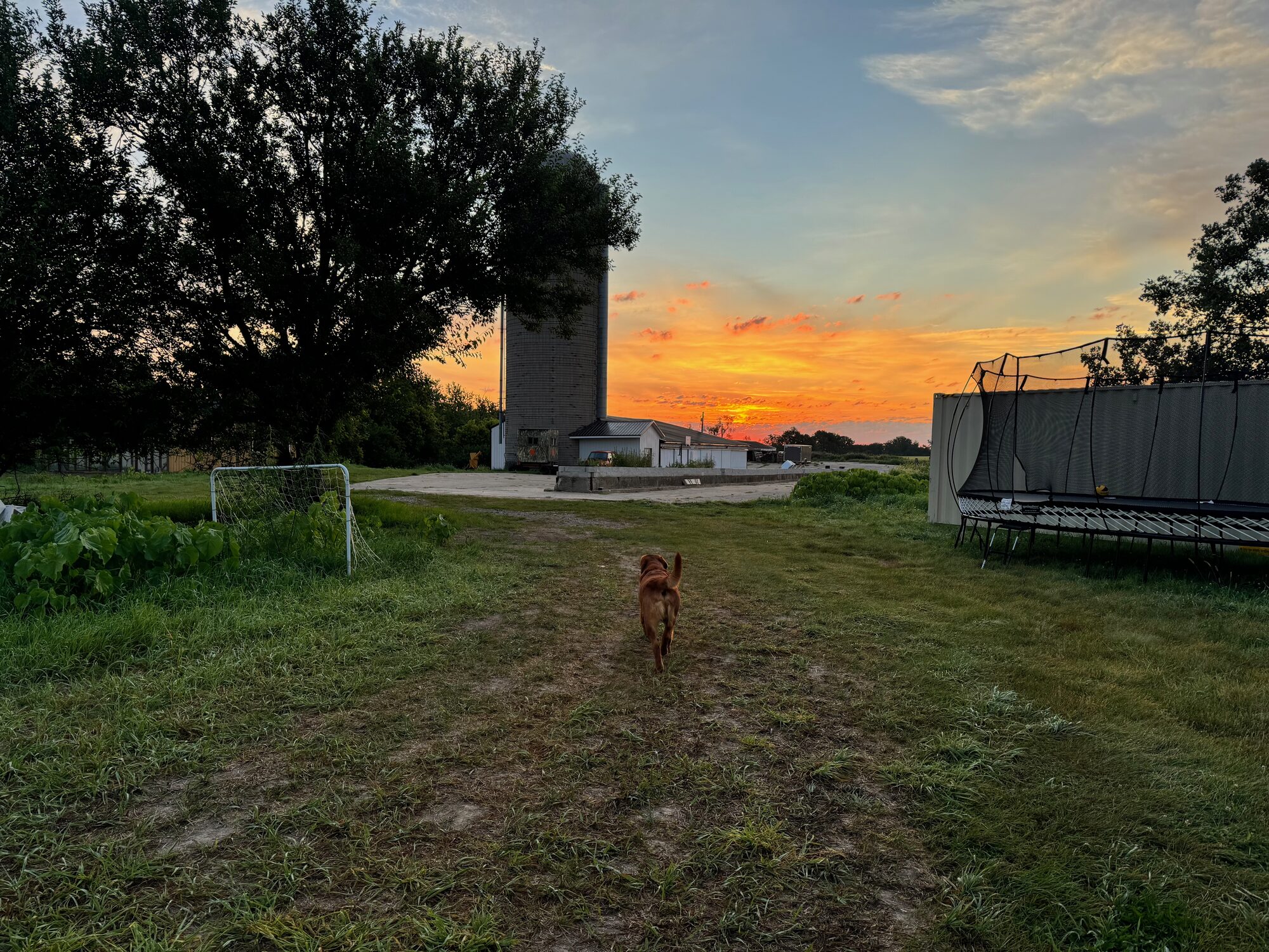 Ash River Farms at sunset